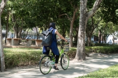 Asian,Businesswoman,Rides,A,Bicycle,To,Work,In,The,Office